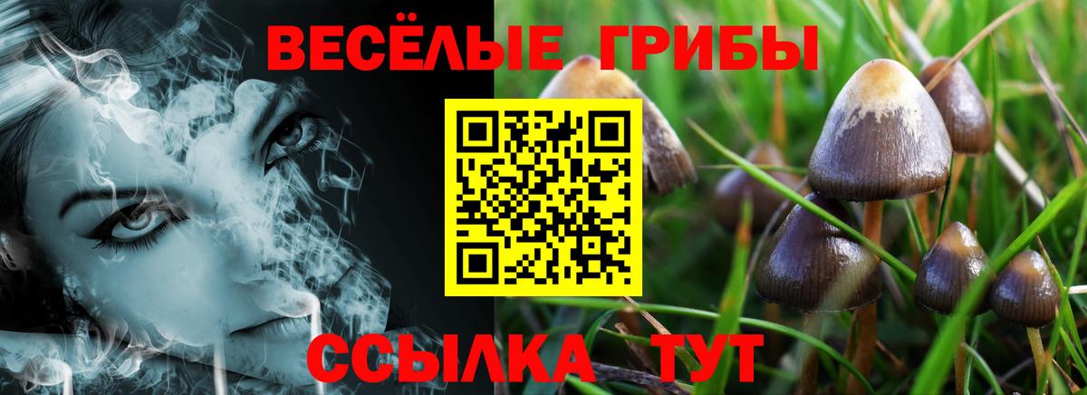 Галлюциногенные грибы Psilocybine cubensis  хочу   Псилоцибиновые грибы Psilocybe  Анжеро-Судженск  Вход с VPN 