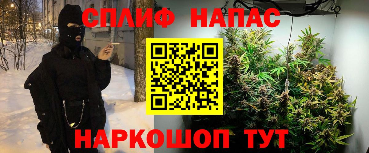 Бошки Шишки сатива Анжеро-Судженск
